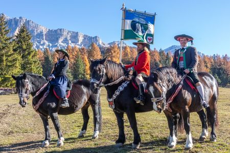 Leonardiritt in Alta Badia: Edle Pferde vor herbstlich gefärbter Bergkulisse
