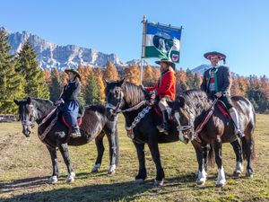Leonardiritt in Alta Badia: Edle Pferde vor herbstlich gefärbter Bergkulisse Leonardiritt in Alta Badia: Edle Pferde vor herbstlich gefärbter Bergkulisse