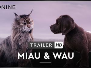 MIAU & WAU - ab 30. Oktober 2025 im Kino