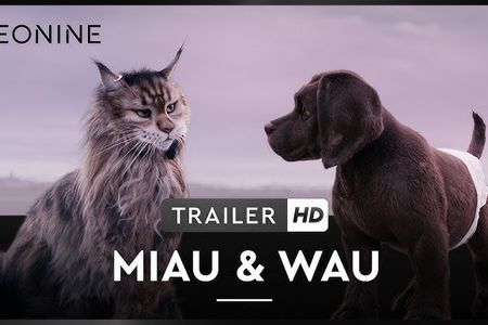 MIAU & WAU - ab 30. Oktober 2025 im Kino