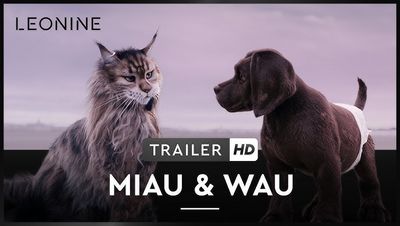 MIAU & WAU - ab 30. Oktober 2025 im Kino