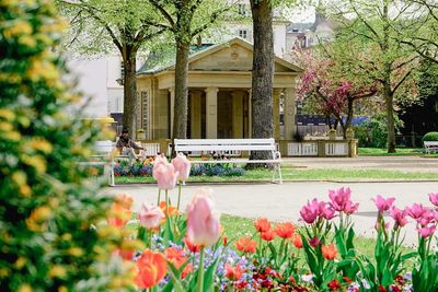 Der Max-Tempel im Frühling