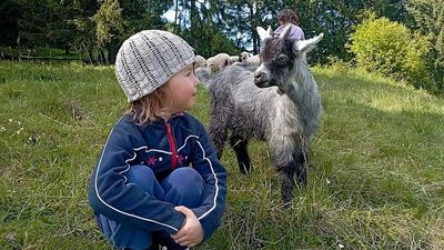 Der „Roter Hahn“-Hof Alpegger in Terenten/Südtirol konzentriert sich auf die Pflege und Zucht bedrohter Nutztierarten, um die biologische Vielfalt zu erhalten 