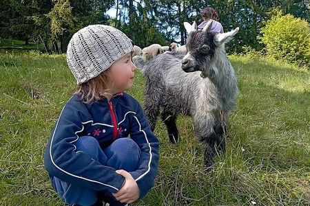 Der „Roter Hahn“-Hof Alpegger in Terenten/Südtirol konzentriert sich auf die Pflege und Zucht bedrohter Nutztierarten, um die biologische Vielfalt zu erhalten 