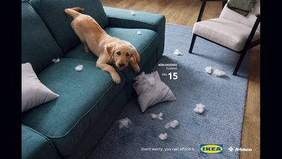 Ikea läßt die Herzen von allen Haustier-Liebhaben höher schlagen