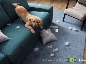 Ikea läßt die Herzen von allen Haustier-Liebhaben höher schlagen Ikea läßt die Herzen von allen Haustier-Liebhaben höher schlagen
