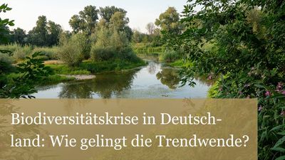 Die Biodiversitätskrise