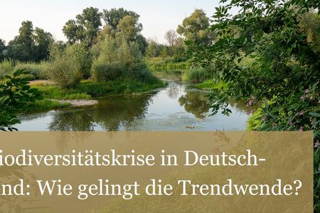 Die Biodiversitätskrise
