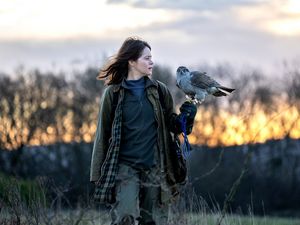 Nach der Eingewöhnungsphase trainiert Helen (Claire Foy) mit ihrem geliebten Habicht Mabel draußen in der Natur Nach der Eingewöhnungsphase trainiert Helen (Claire Foy) mit ihrem geliebten Habicht Mabel draußen in der Natur