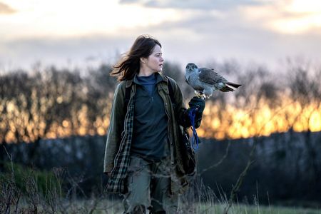 Nach der Eingewöhnungsphase trainiert Helen (Claire Foy) mit ihrem geliebten Habicht Mabel draußen in der Natur