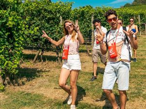 Wo Fässer rollen und Kunst im Weinberg steckt - Piemonte mal anders erleben Wo Fässer rollen und Kunst im Weinberg steckt - Piemonte mal anders erleben