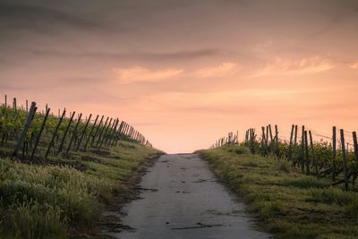 Die schönsten geheimen Wege Europas – zu Fuß oder mit dem Fahrrad