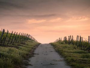 Die schönsten geheimen Wege Europas – zu Fuß oder mit dem Fahrrad