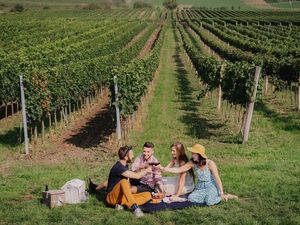 Im Herbst verwandelt sich Tschechien, besonders Südmähren, in ein lebendiges Weinerlebnis: Traditionelle Weinlesefeste locken – etwa in Znojmo, Mikulov (Pálava) oder Prag – mit historischen Umzügen, Folklore, Musik und natürlich reichlich Weinver Im Herbst verwandelt sich Tschechien, besonders Südmähren, in ein lebendiges Weinerlebnis: Traditionelle Weinlesefeste locken – etwa in Znojmo, Mikulov (Pálava) oder Prag – mit historischen Umzügen, Folklore, Musik und natürlich reichlich Weinverkostung