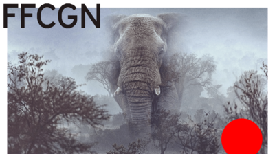 Der Dokumentarfilm GHOST ELEPHANTS von Werner Herzog 