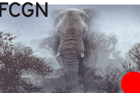 Der Dokumentarfilm GHOST ELEPHANTS von Werner Herzog 
