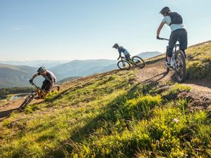 Kornock Flow Trail: Highlight im abwechslungsreichen Bike-Angebot Kornock Flow Trail: Highlight im abwechslungsreichen Bike-Angebot