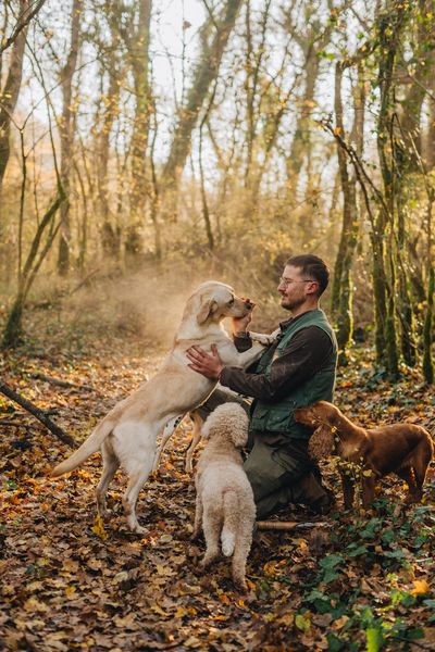 Trüffel suche mit Hunden