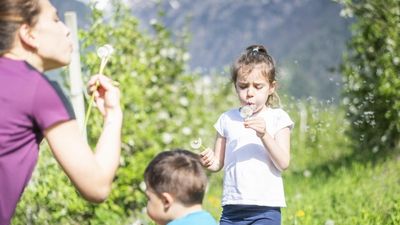 Auf spielerische Weise können Kids im Familienurlaub in Schenna den behutsamen Umgang mit der Südtiroler Natur erleben – abseits der digitalen Welt
