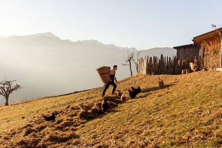 Die Anbauflächen der „Roter Hahn“-Betriebe auf über 1.500 Metern Höhe lassen sich aufgrund der Steillagen oft nicht maschinell bewirtschaften