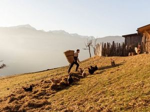 Die Anbauflächen der „Roter Hahn“-Betriebe auf über 1.500 Metern Höhe lassen sich aufgrund der Steillagen oft nicht maschinell bewirtschaften Die Anbauflächen der „Roter Hahn“-Betriebe auf über 1.500 Metern Höhe lassen sich aufgrund der Steillagen oft nicht maschinell bewirtschaften