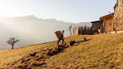 Die Anbauflächen der „Roter Hahn“-Betriebe auf über 1.500 Metern Höhe lassen sich aufgrund der Steillagen oft nicht maschinell bewirtschaften
