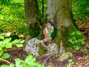 Auf dem Baumbilderweg entdeckt man u. a. heimische Tiere Auf dem Baumbilderweg entdeckt man u. a. heimische Tiere