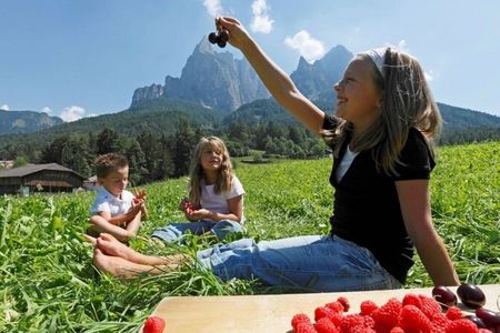 Die Obsternte wird auf den Südtiroler Bergbauernhöfen mit dem Qualitätssiegel „Roter Hahn“ von der Bäuerin zu Fruchtaufstrichen weiterverarbeitet