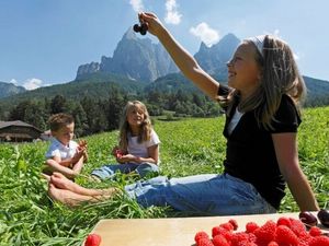Die Obsternte wird auf den Südtiroler Bergbauernhöfen mit dem Qualitätssiegel „Roter Hahn“ von der Bäuerin zu Fruchtaufstrichen weiterverarbeitet Die Obsternte wird auf den Südtiroler Bergbauernhöfen mit dem Qualitätssiegel „Roter Hahn“ von der Bäuerin zu Fruchtaufstrichen weiterverarbeitet