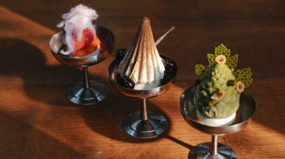 MIT DER ERÖFFNUNG DES BARBOUNIA RESTAURANTS ZIEHT DIE MITTELMEERKÜCHE INS CONSERVATORIUM UND BRINGT LA DOLCE VITA INS AMSTERDAMER MUSEUMSQUARTIER