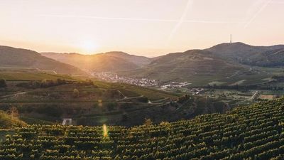 Die grenzüberschreitende Radstrecke von Elzach im Schwarzwald bis nach Villé im Elsass führt durch zahlreiche Weinorte am Kaiserstuhl im Südwesten Baden-Württemberg