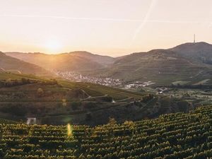 Die grenzüberschreitende Radstrecke von Elzach im Schwarzwald bis nach Villé im Elsass führt durch zahlreiche Weinorte am Kaiserstuhl im Südwesten Baden-Württemberg Die grenzüberschreitende Radstrecke von Elzach im Schwarzwald bis nach Villé im Elsass führt durch zahlreiche Weinorte am Kaiserstuhl im Südwesten Baden-Württemberg