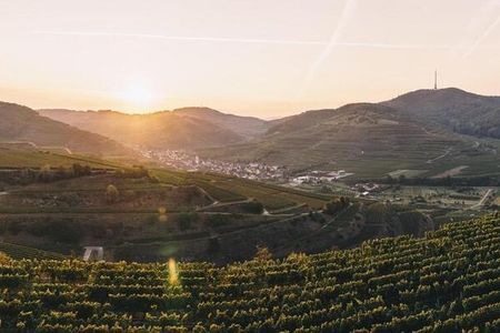 Die grenzüberschreitende Radstrecke von Elzach im Schwarzwald bis nach Villé im Elsass führt durch zahlreiche Weinorte am Kaiserstuhl im Südwesten Baden-Württemberg