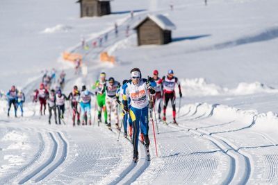 Beim legendären Dolomitenlauf in Lienz/Osttirol, Österreichs größte Langlaufveranstaltung, stellen sich Profis sowie Amateure den kräftezehrenden Herausforderungen über 20 und 42 Kilometer in den Disziplinen Langlauf Classic und Freie Technik