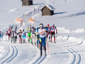 Beim legendären Dolomitenlauf in Lienz/Osttirol, Österreichs größte Langlaufveranstaltung, stellen sich Profis sowie Amateure den kräftezehrenden Herausforderungen über 20 und 42 Kilometer in den Disziplinen Langlauf Classic und Freie Technik Beim legendären Dolomitenlauf in Lienz/Osttirol, Österreichs größte Langlaufveranstaltung, stellen sich Profis sowie Amateure den kräftezehrenden Herausforderungen über 20 und 42 Kilometer in den Disziplinen Langlauf Classic und Freie Technik