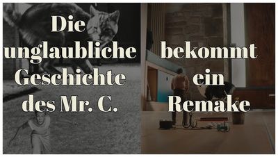 Oscar®-Preisträger Jean Dujardin spielt  herausragend die Hauptrolle
