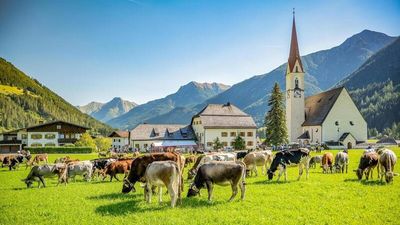 Bei den örtlichen Almabtrieben feiern Zuschauer die Rückkehr der Kühe und Rinder von ihren Almen ins Tiroler Lechtal