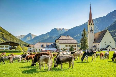 Bei den örtlichen Almabtrieben feiern Zuschauer die Rückkehr der Kühe und Rinder von ihren Almen ins Tiroler Lechtal