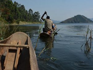 In Uganda treffen Reisende mit Hauser Exkursionen auf eine surreal anmutende Tiervielfalt, die in den Nationalparks, auf Safaris oder vom Boot aus beobachtet werden kann