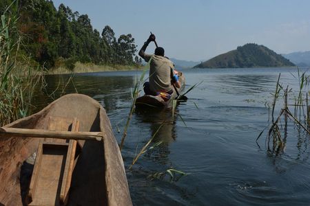 In Uganda treffen Reisende mit Hauser Exkursionen auf eine surreal anmutende Tiervielfalt, die in den Nationalparks, auf Safaris oder vom Boot aus beobachtet werden kann