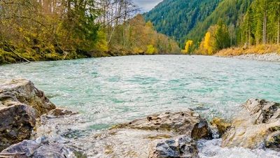 Wild und frei rauscht der Lech durchs Tiroler Lechtal – beste Bedingungen für eine Tour durch unberührte Natur