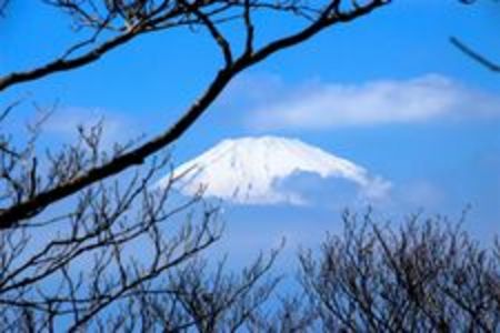 Nippon entdecken: Hauser-Gäste erkunden Japans Natur- und Kulturschätze – vom Tempelbesuch bis zur Besteigung des Fuji