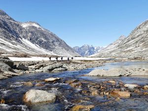Grönland-Trekking fernab jeglicher Zivilisation – Hauser Exkursionen führt Outdoor-Fans durch die arktische Welt der Inuit Grönland-Trekking fernab jeglicher Zivilisation – Hauser Exkursionen führt Outdoor-Fans durch die arktische Welt der Inuit