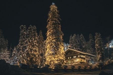 Tradition trifft Moderne – das Museum Restaurant in St. Anton am Arlberg steht für feinste österreichische Küche und erlesene Weine im außergewöhnlichen Ambiente der historischen Villa Trier