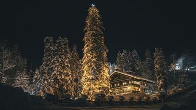 Tradition trifft Moderne – das Museum Restaurant in St. Anton am Arlberg steht für feinste österreichische Küche und erlesene Weine im außergewöhnlichen Ambiente der historischen Villa Trier