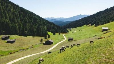 Stollwies und Altfasstal: Beide Wanderungen beginnen direkt vor der Türe des neuen Hotels AUI in Meransen, Südtirol