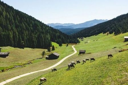 Stollwies und Altfasstal: Beide Wanderungen beginnen direkt vor der Türe des neuen Hotels AUI in Meransen, Südtirol