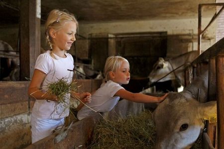 Im September und Oktober kehren in Südtirol die Weidetiere von ihrem Sommeraufenthalt auf der Alm zurück zu den „Roter Hahn“-Höfen, wo Kinder die Kühe, Schafe, Ziegen und Pferde streicheln und füttern dürfen