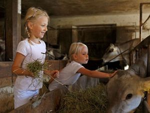 Im September und Oktober kehren in Südtirol die Weidetiere von ihrem Sommeraufenthalt auf der Alm zurück zu den „Roter Hahn“-Höfen, wo Kinder die Kühe, Schafe, Ziegen und Pferde streicheln und füttern dürfen Im September und Oktober kehren in Südtirol die Weidetiere von ihrem Sommeraufenthalt auf der Alm zurück zu den „Roter Hahn“-Höfen, wo Kinder die Kühe, Schafe, Ziegen und Pferde streicheln und füttern dürfen