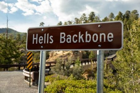 Die Scenic Byways sind ideal für Roadtrips 